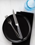 Superior Set of 4 Steak Knives - Gray-1