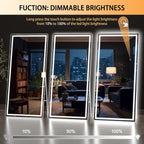 Illuminated Floor Length Mirror 71x32 Inch Dimmable